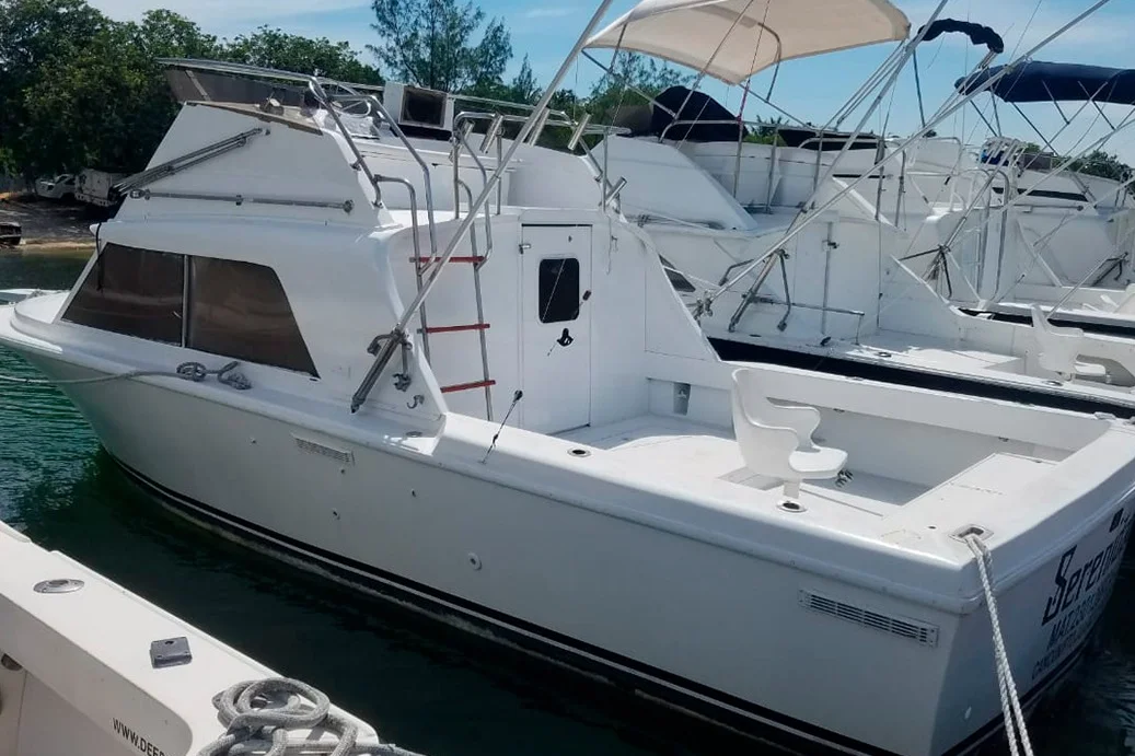 Bertram 31, foto 6