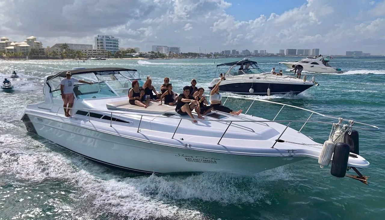 Sea Ray 46, foto 6