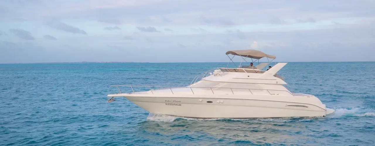 Sea Ray 46 Flybridge, foto 8