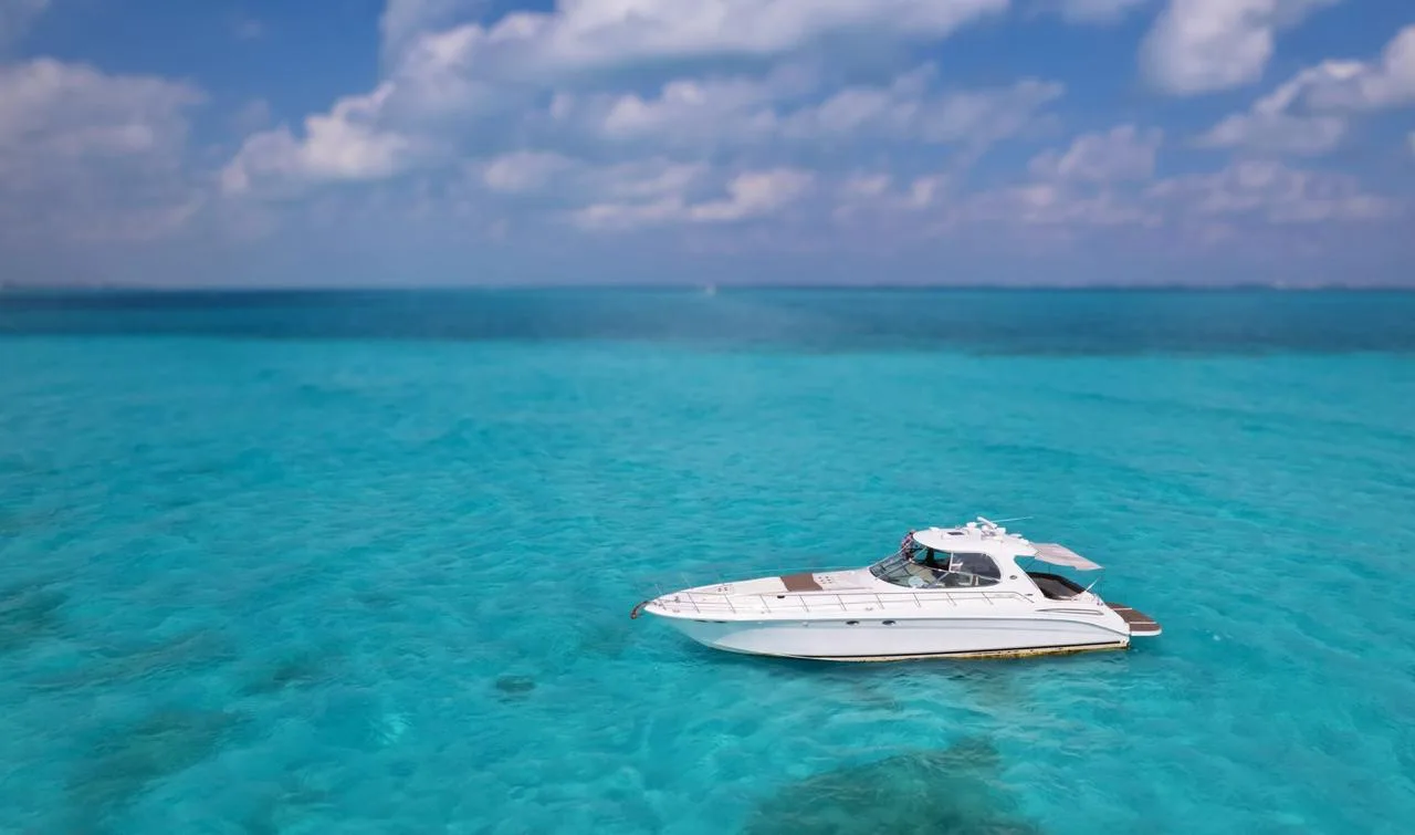 Sea Ray Sundancer 60, foto 11