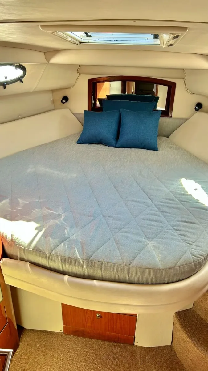 Sea Ray 46, foto 9