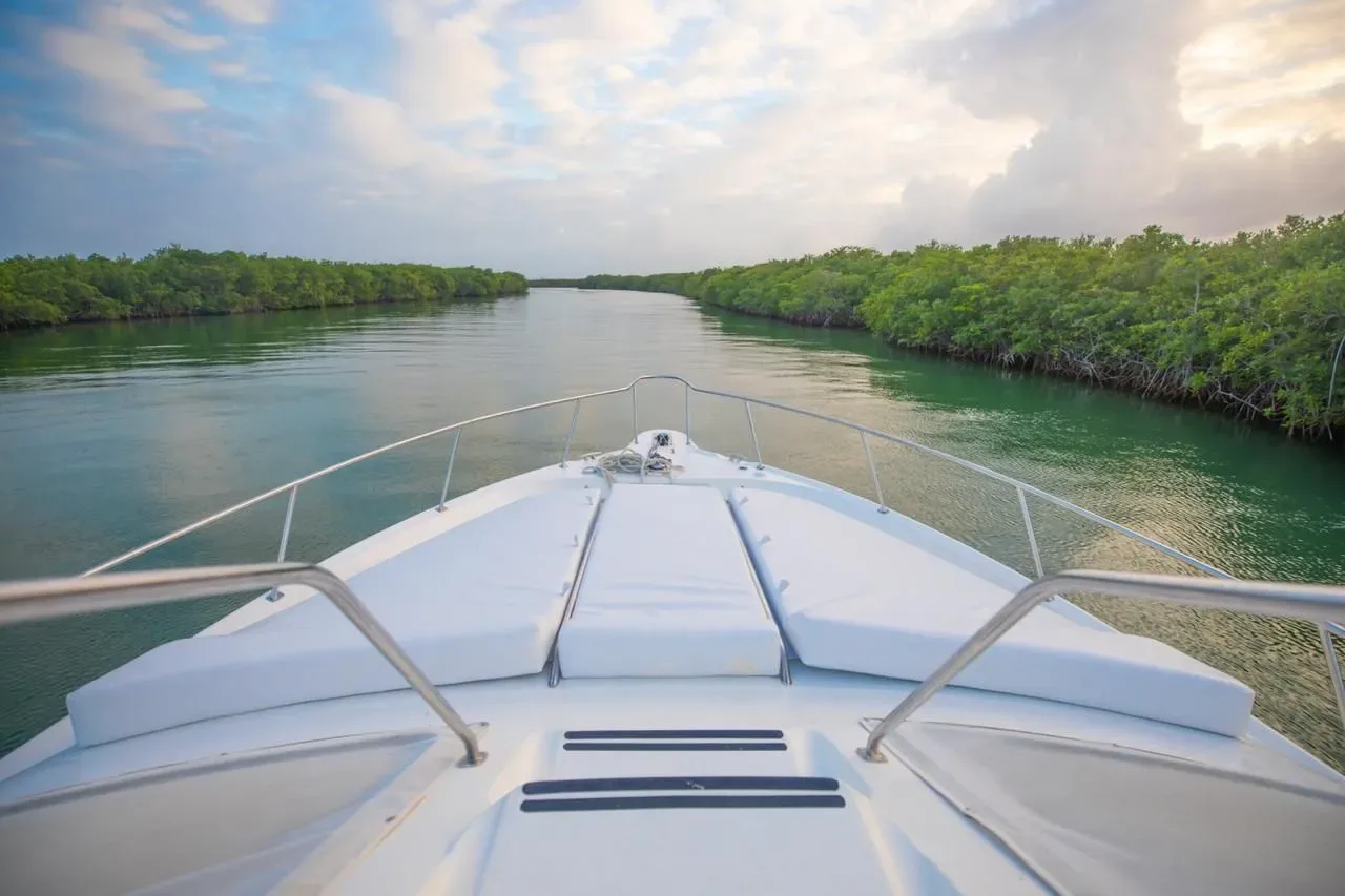 Sea Ray 46 Flybridge, foto 10
