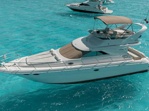 Sea Ray 46 Flybridge, foto 11