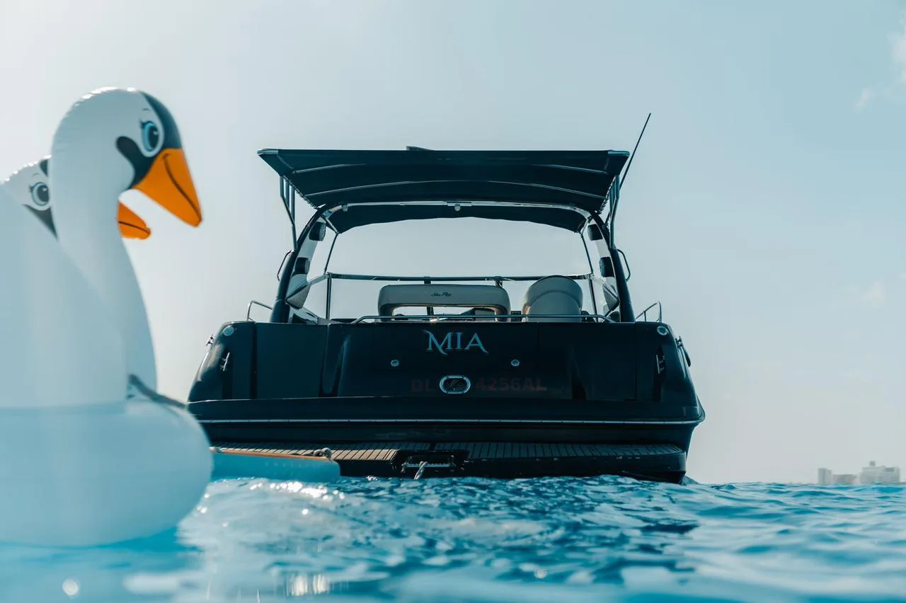 Sea Ray 43, foto 7