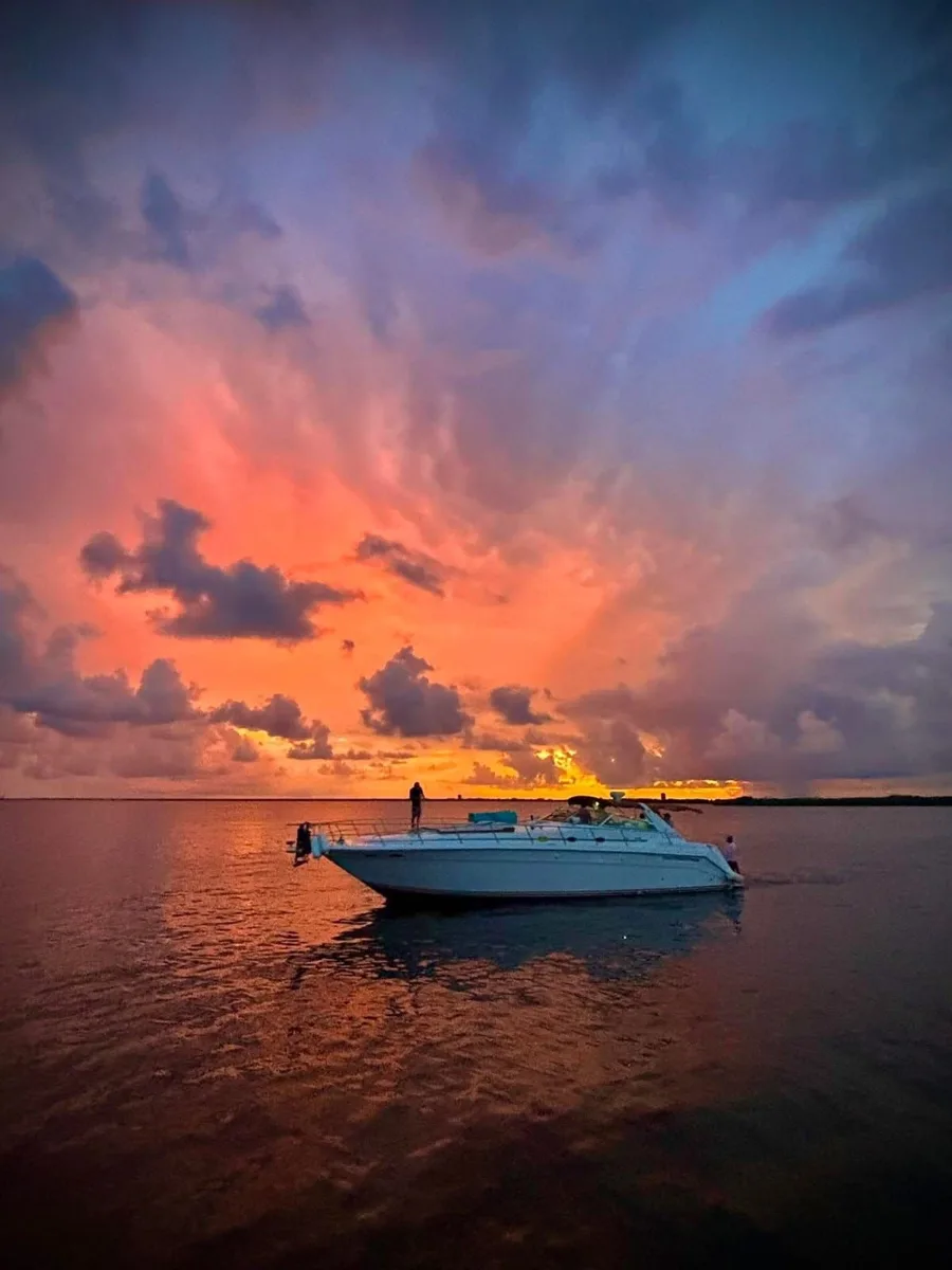 Sea Ray 50, foto 2