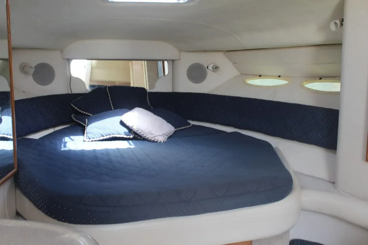 Sea Ray 35, foto 11