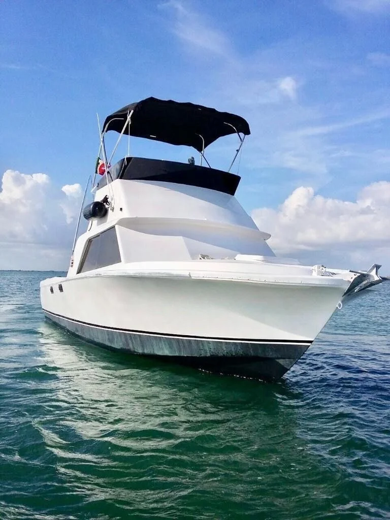 Bertram 31, foto 1