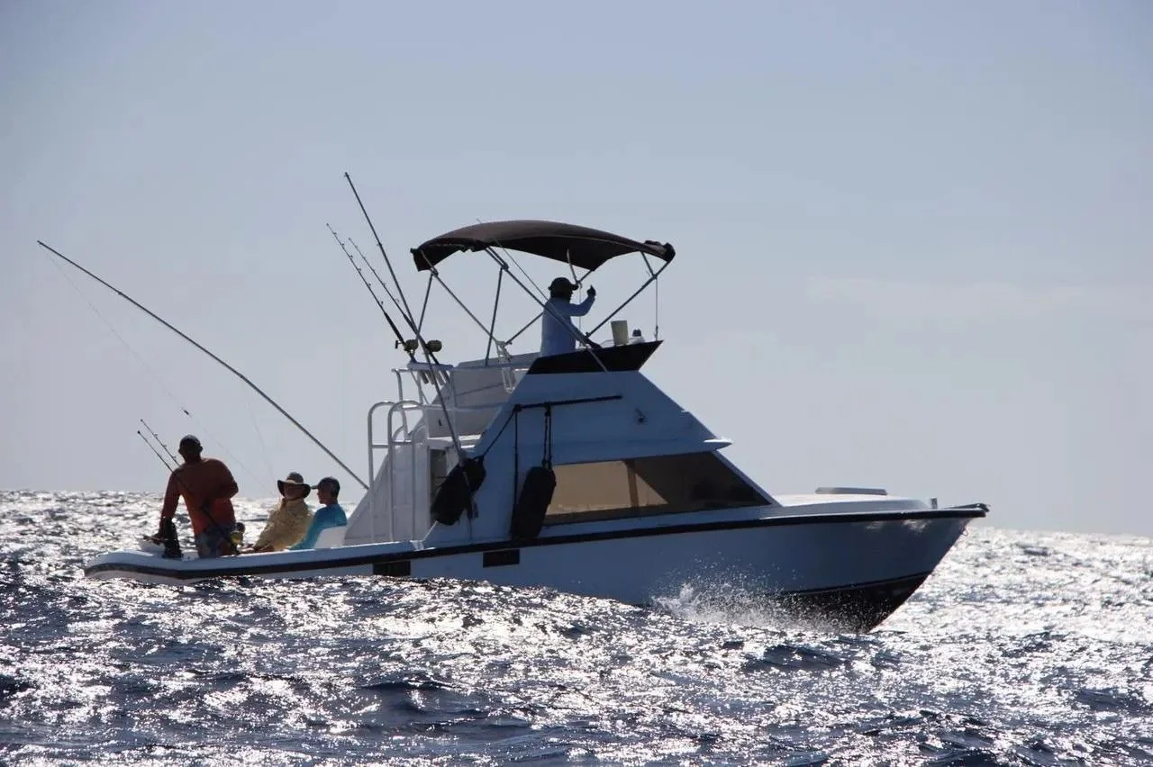 Bertram 31, foto 8