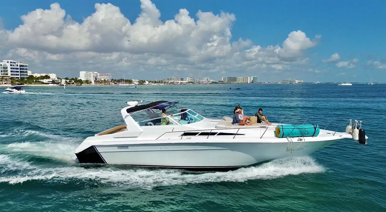 Sea Ray 46, foto 4