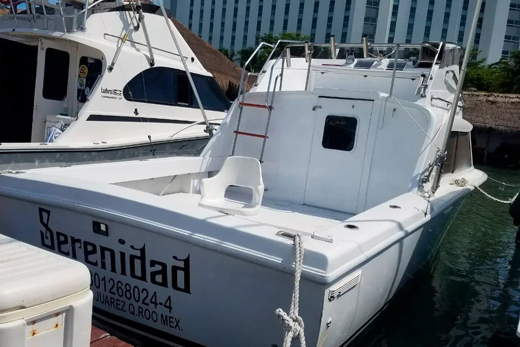 Bertram 31, foto 7
