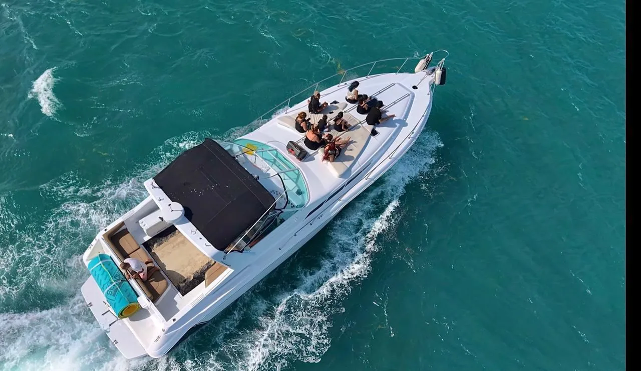 Sea Ray 46, foto 3