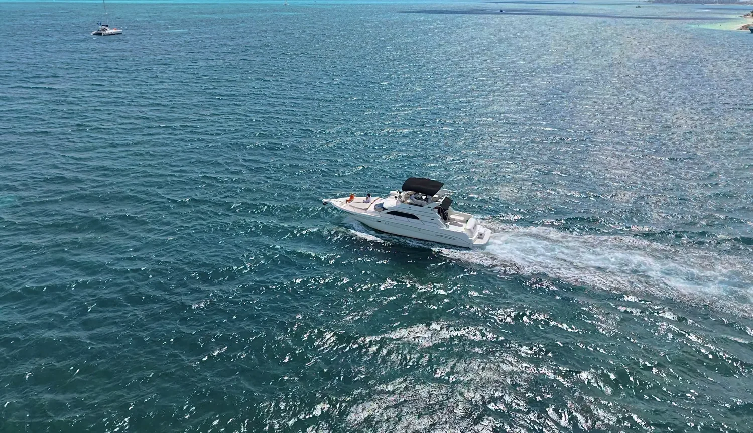 Sea Ray 46 Flybridge, foto 4