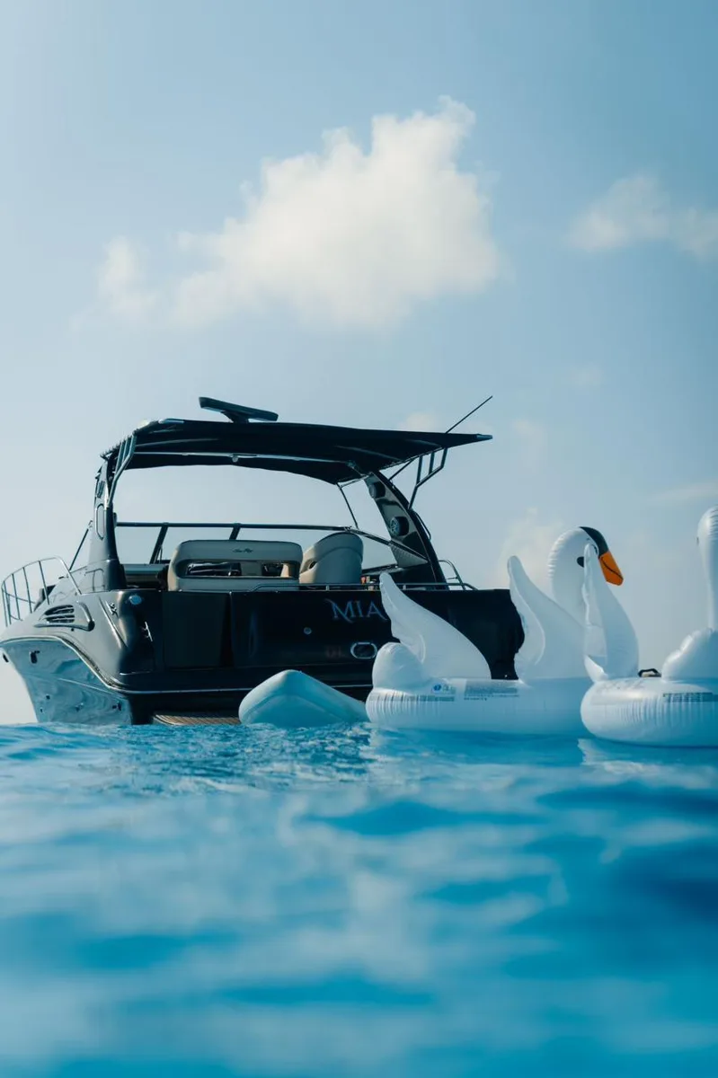 Sea Ray 43, foto 6