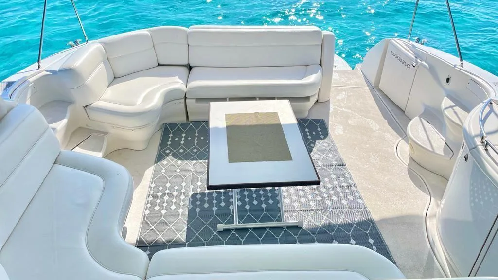 Sea Ray Sundancer 60, foto 9