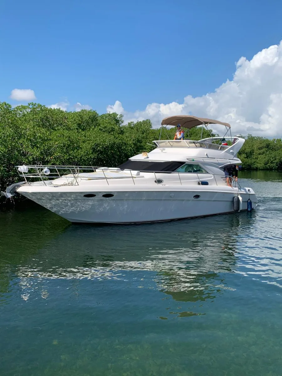 Sea Ray 46 Flybridge, foto 3