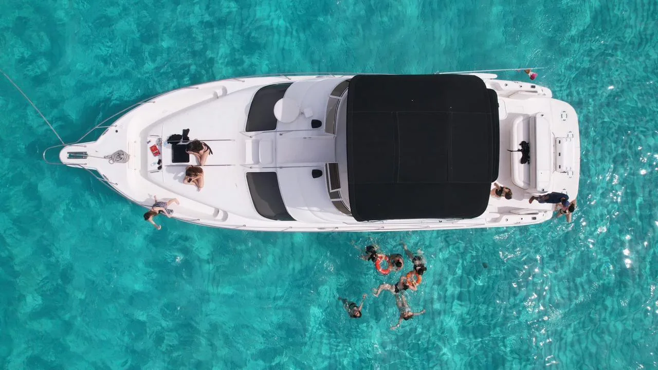 Sea Ray 46 Flybridge, foto 1