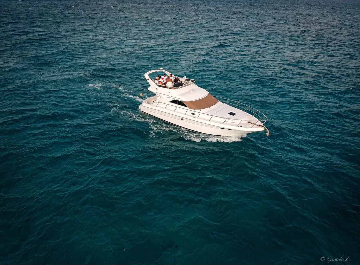 Sea Ray 46 Flybridge, foto 6