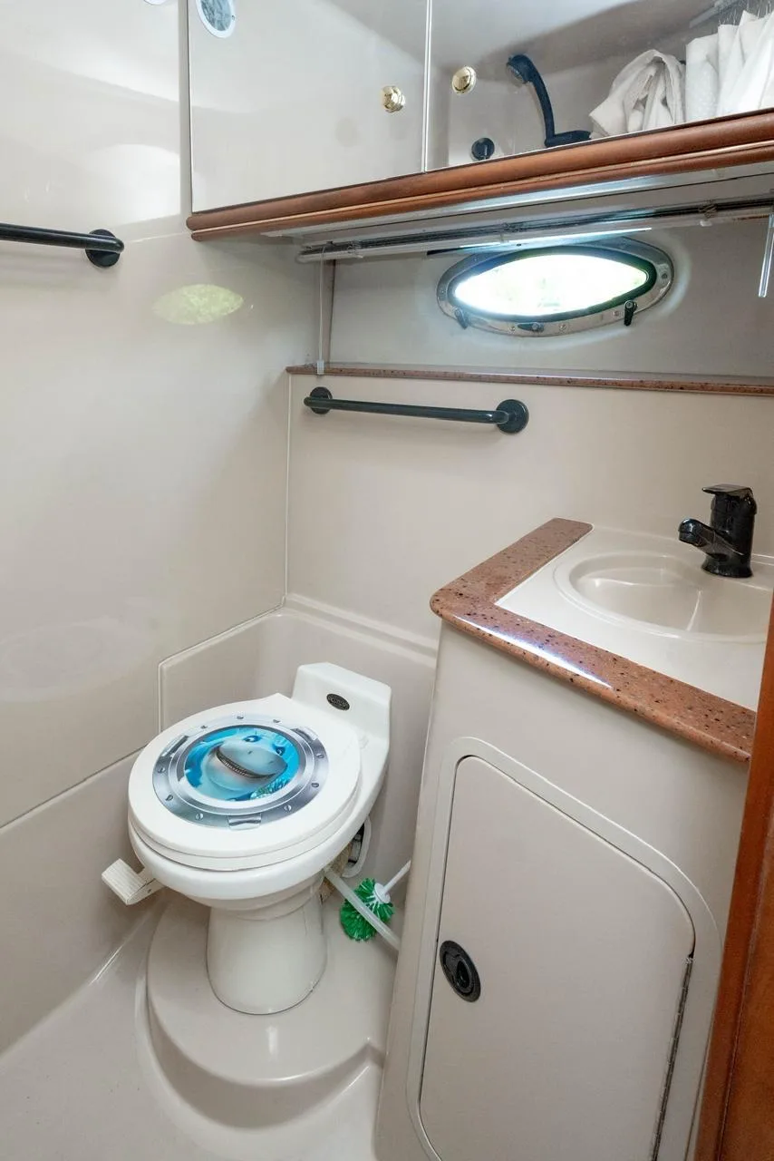Sea Ray 42 ft