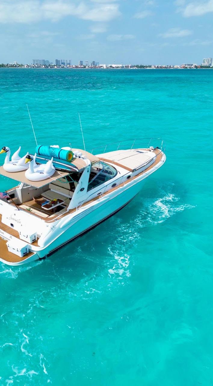 Sea Ray 43 ft, foto 3