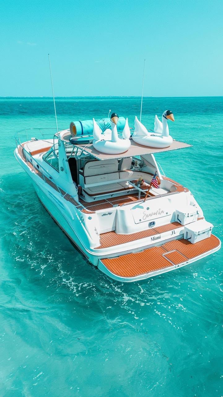 Sea Ray 43 ft, foto 5