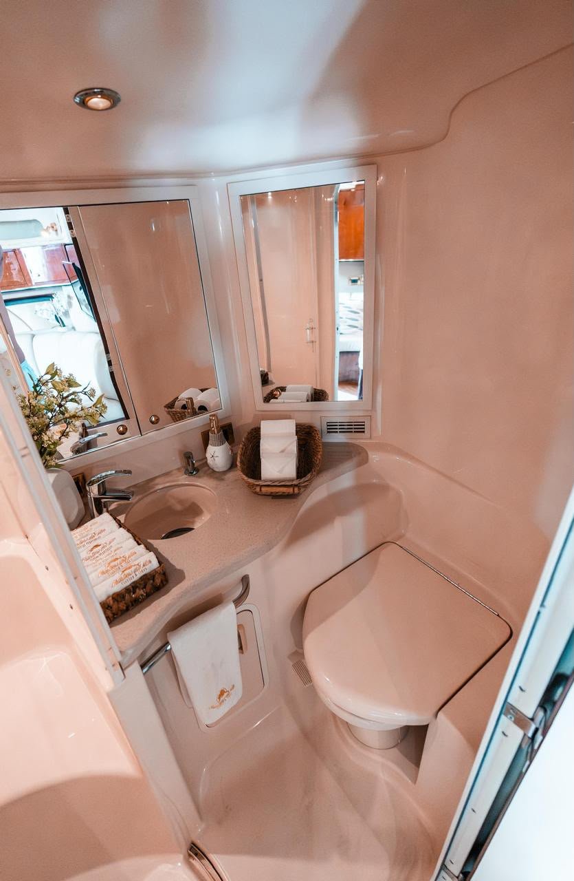 Sea Ray 43 ft, foto 7