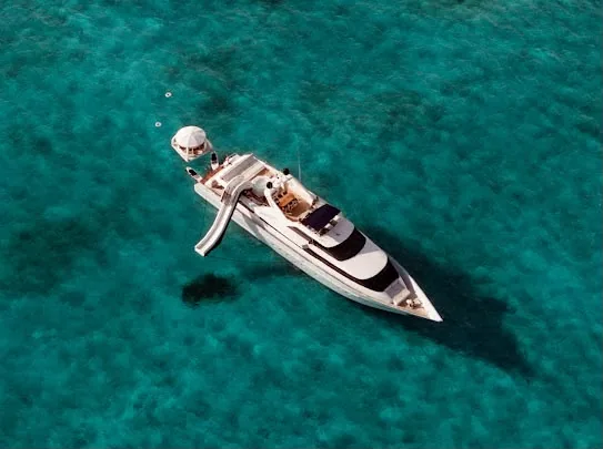 Avalon 115