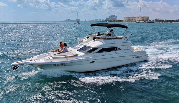 4.SeaRay 46  " - Image 5