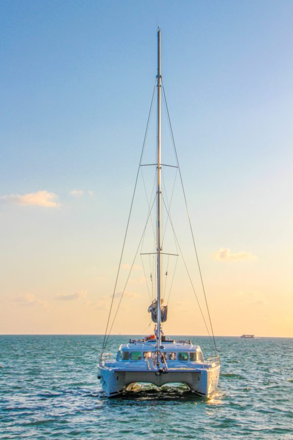 3.Lagoon 500 Big Chill - PLATINO - Image 9