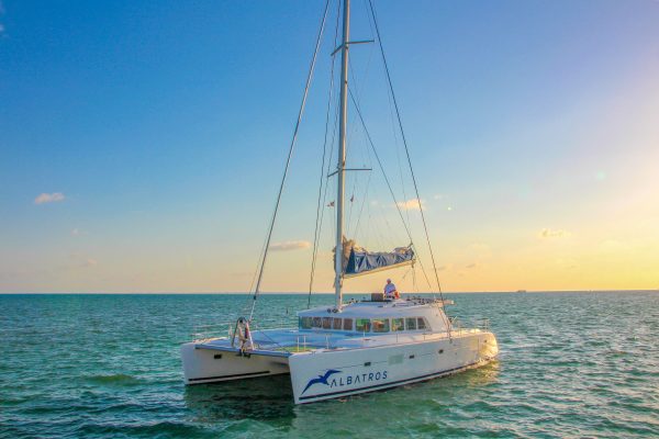 3.Lagoon 500 Big Chill - PLATINO - Image 10