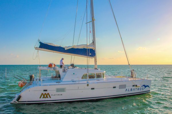 3.Lagoon 500 Big Chill - PLATINO - Image 3