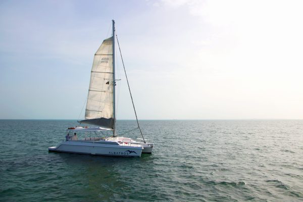 8.Lagoon 450 Manuel - Platino - Image 2