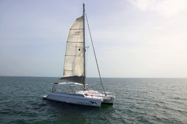 8.Lagoon 450 Manuel - Platino - Image 3