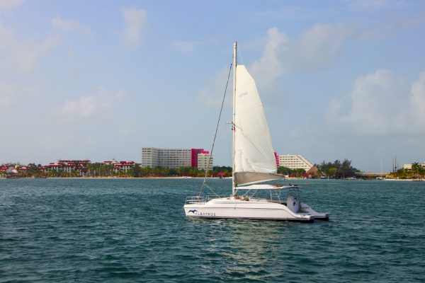 8.Lagoon 450 Manuel - Platino - Image 5