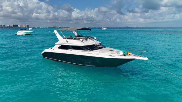 44.SEARAY 50FT - Image 5
