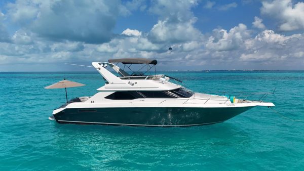 44.SEARAY 50FT - Image 3