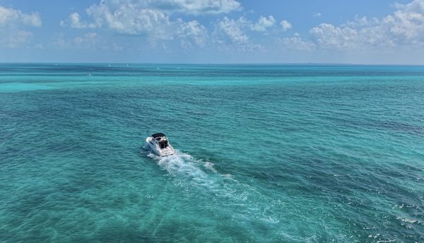 7.SeaRay 46 " - Image 2
