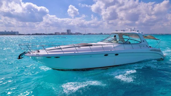 34.SEARAY SUNDANCER 60FT