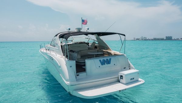 38.SEARAY 50FT - Image 2