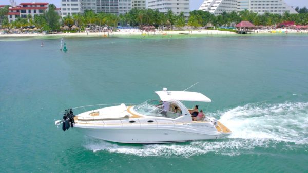 40.SEARAY 38 Ft - Image 4